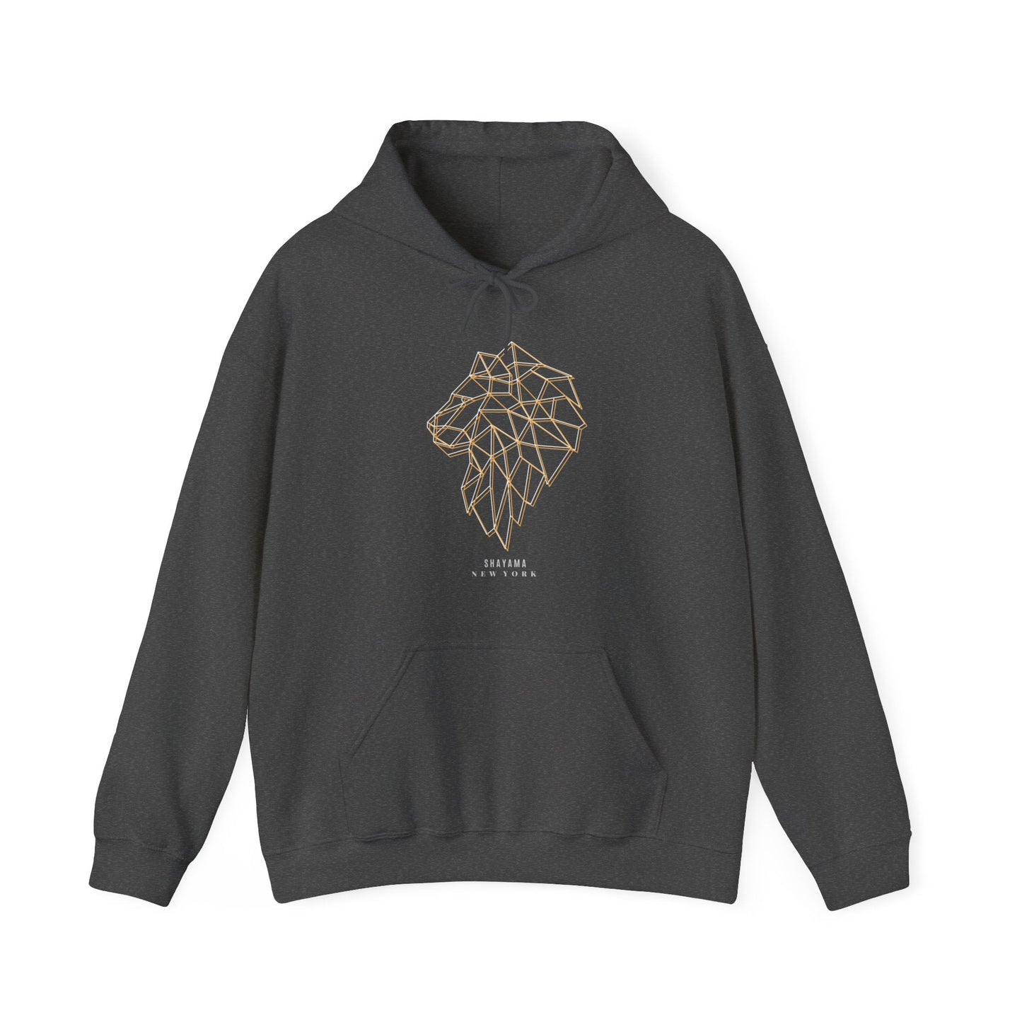 Logo and Lion Graphic Hoodie