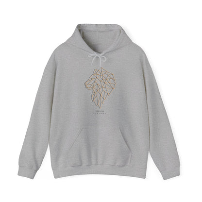 Logo and Lion Graphic Hoodie