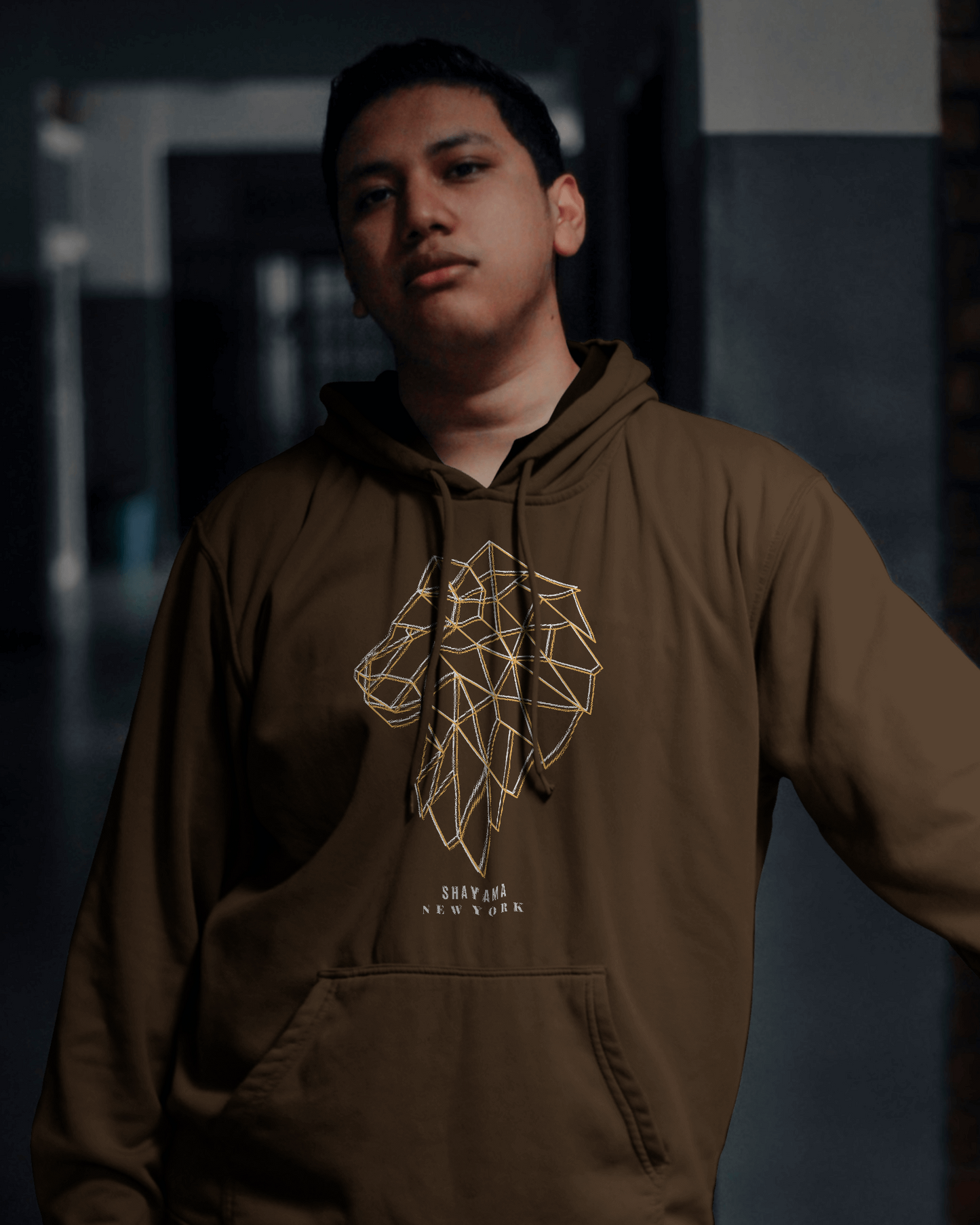 Logo and Lion Graphic Hoodie